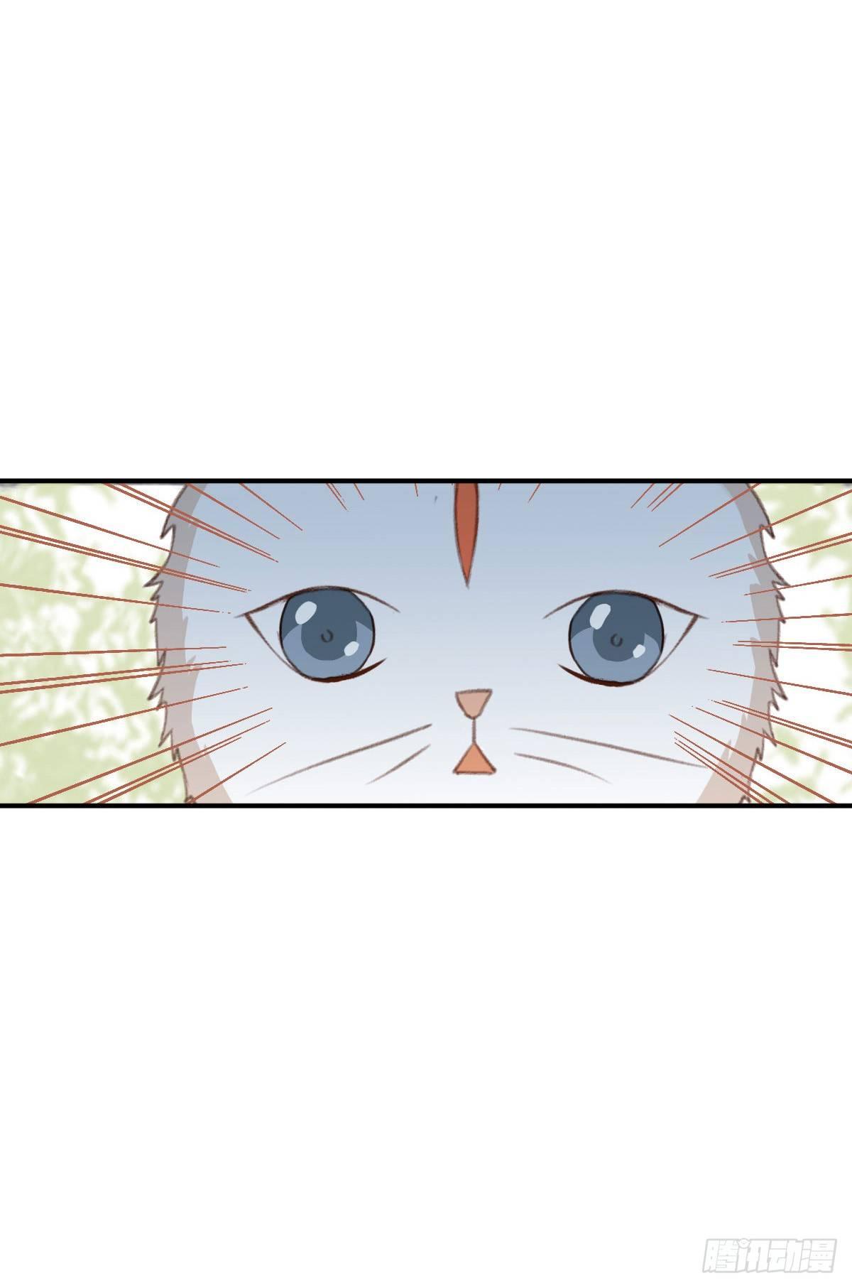 第20话17