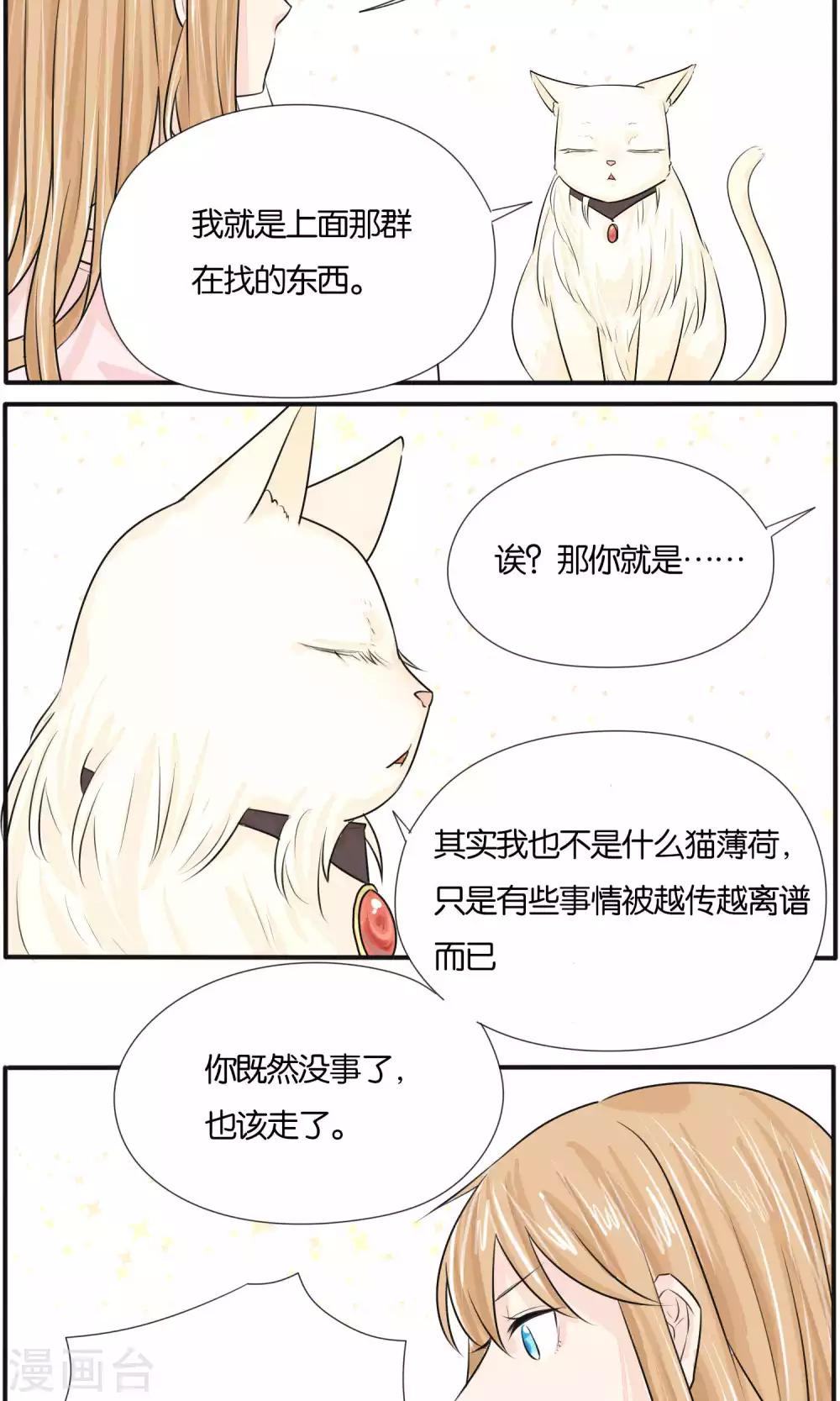 最终话14