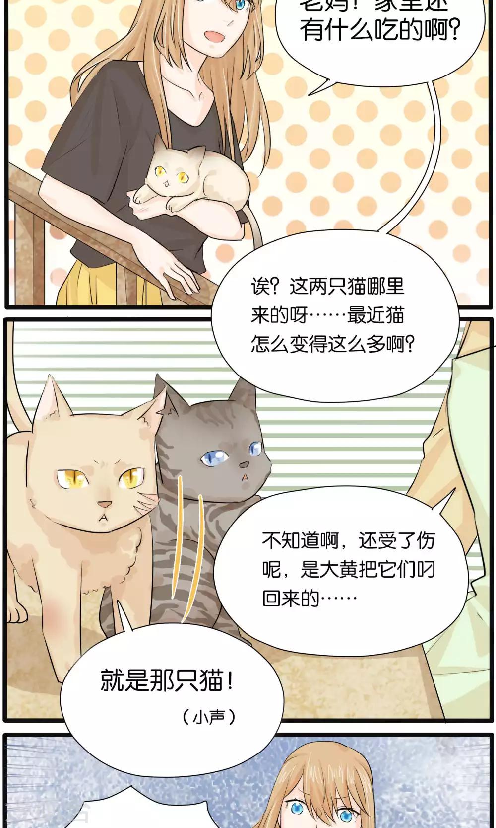 第31话14