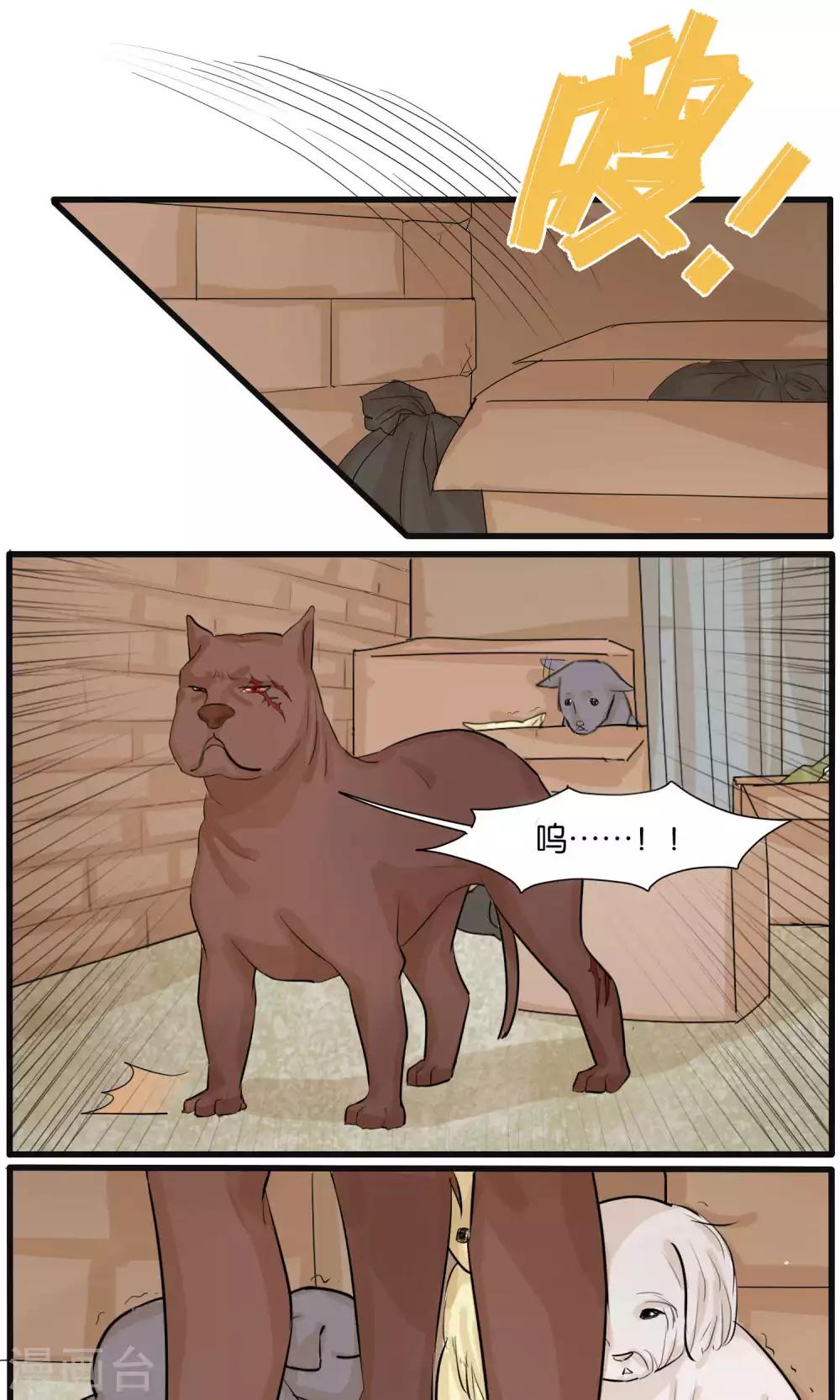 第30话4