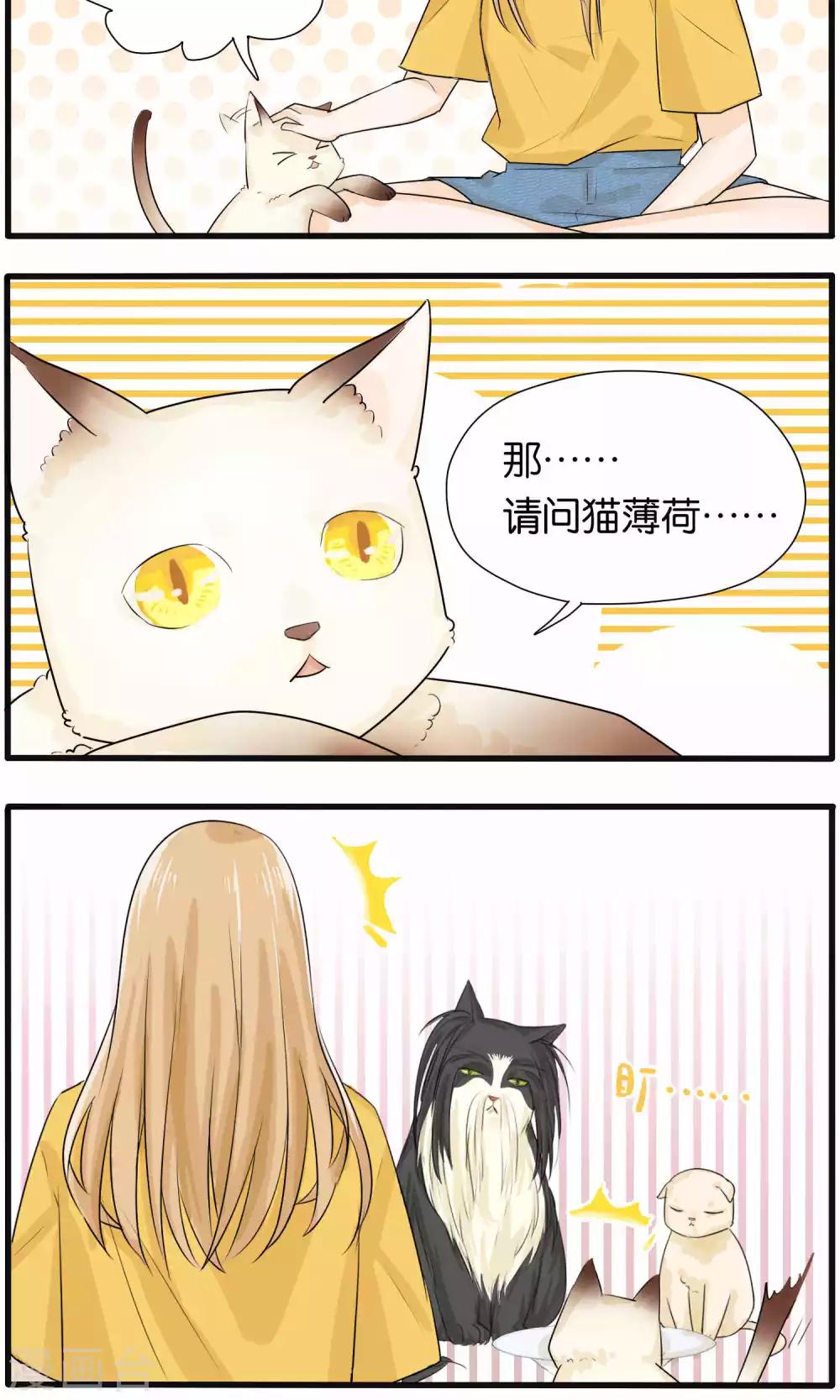 第28话11