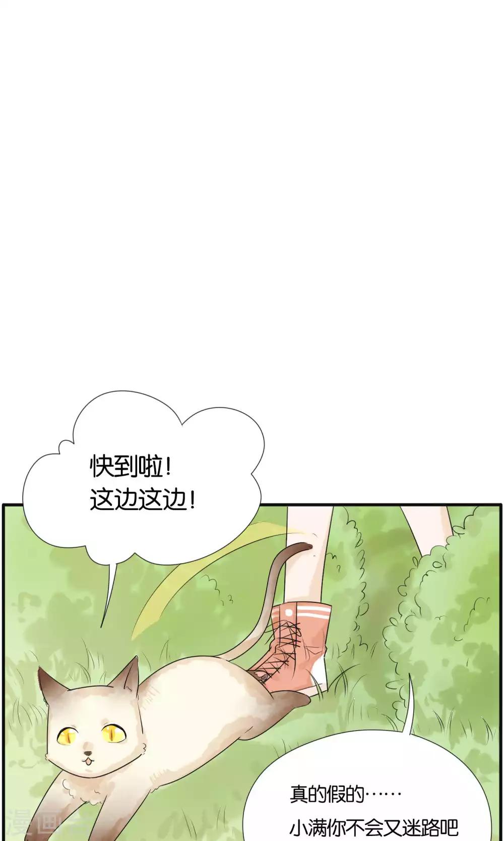最终话3