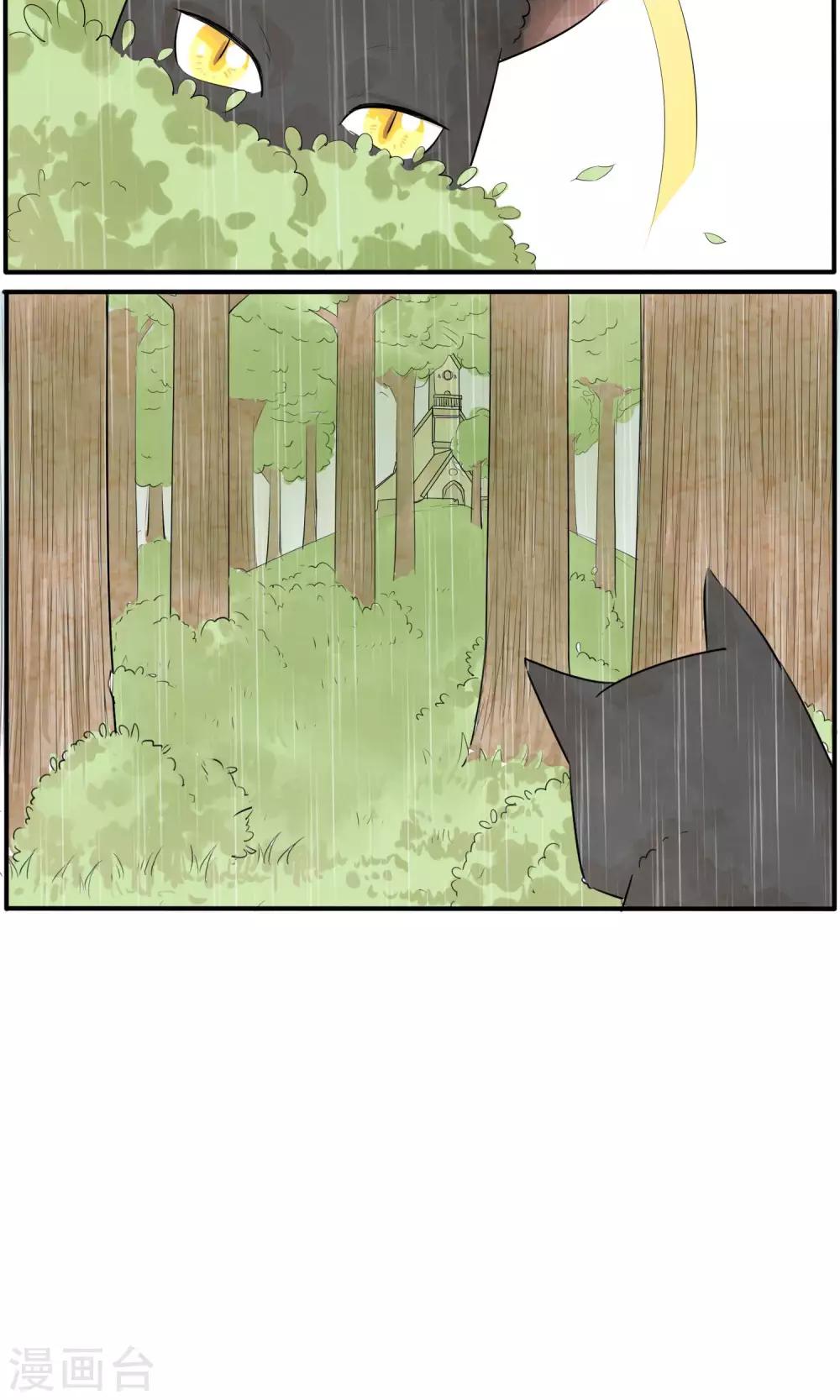 第36话5