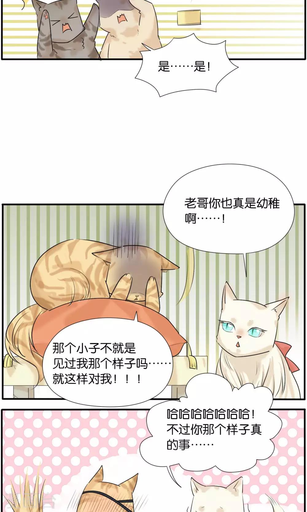 第36话11