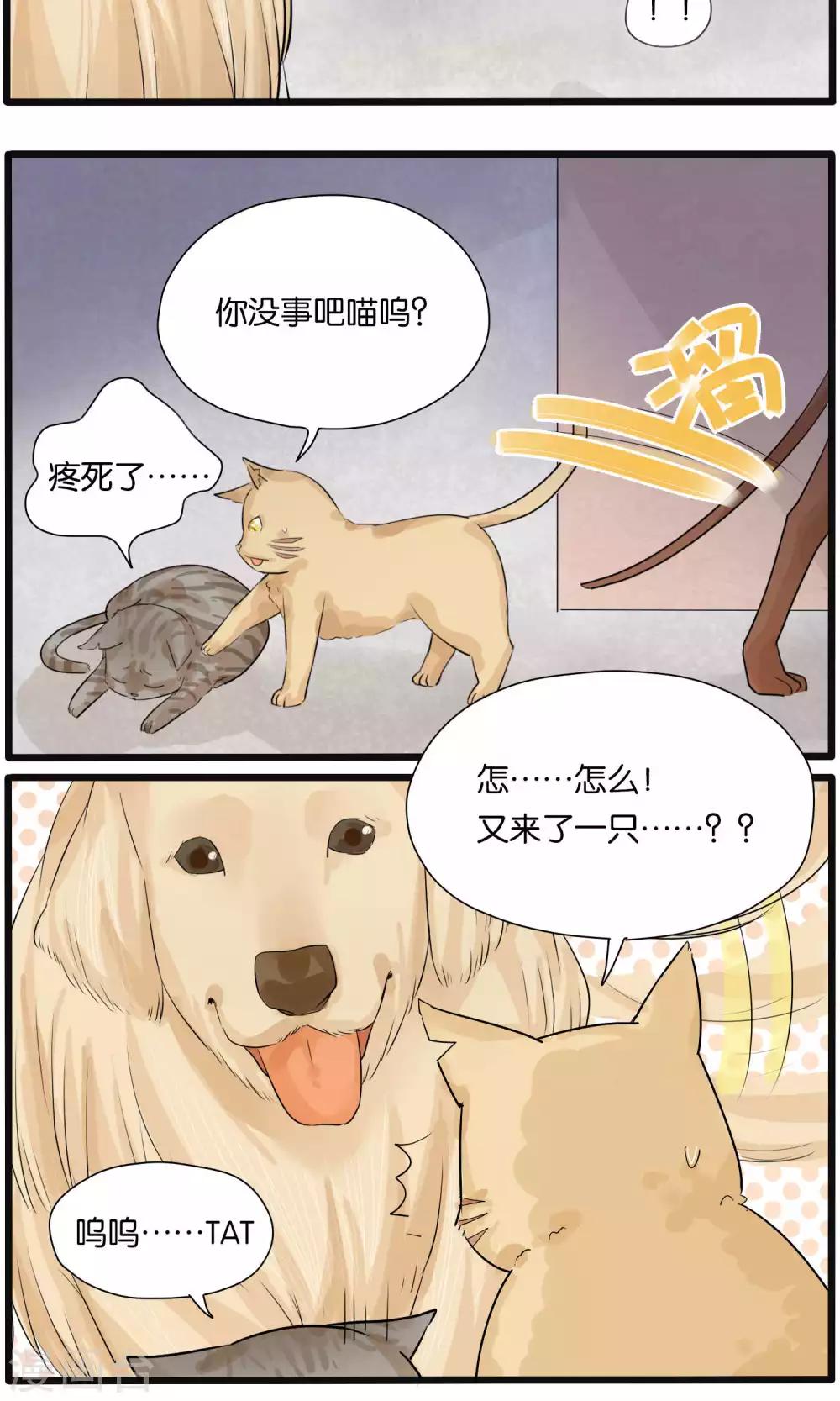 第31话11