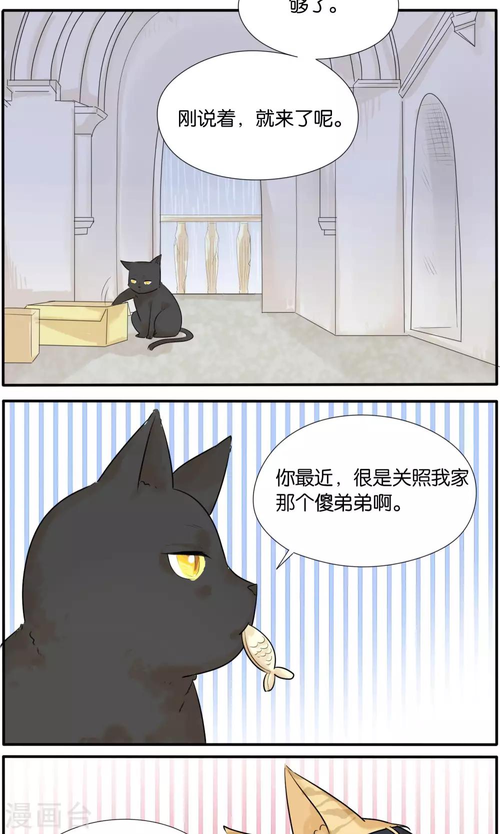 第36话7