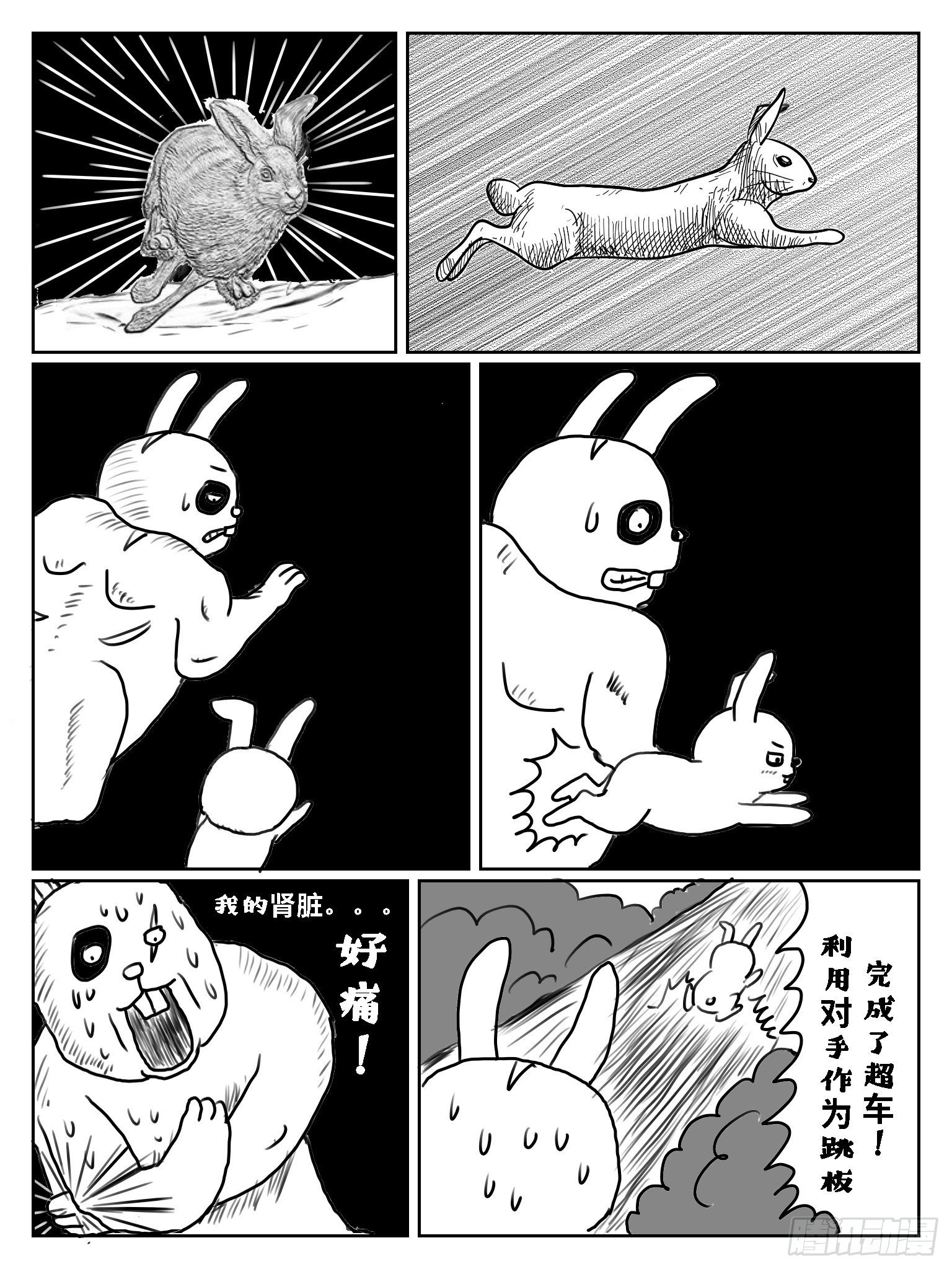 守株待兔10