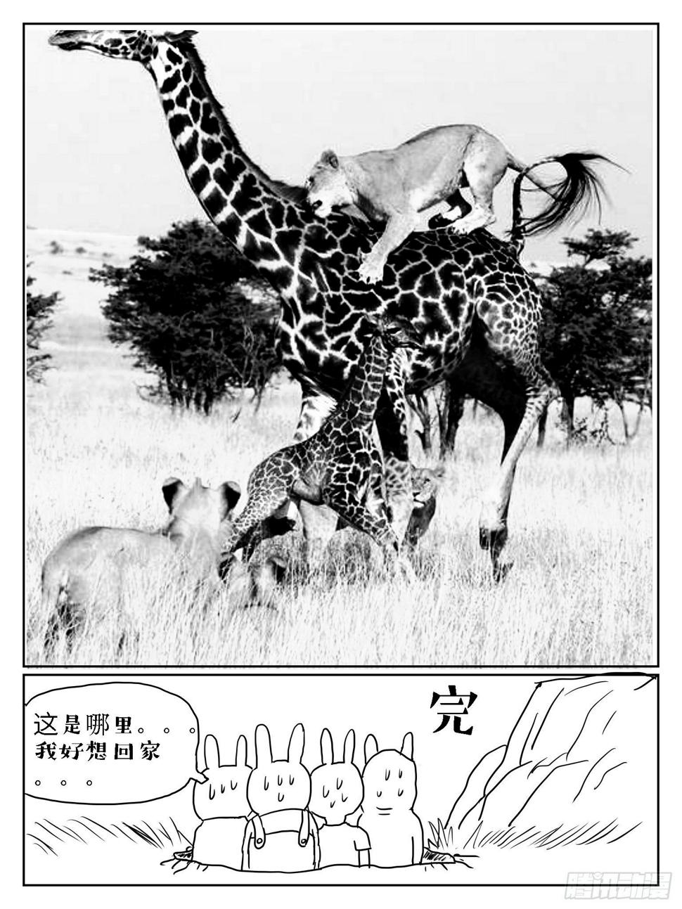 狡兔三窟16