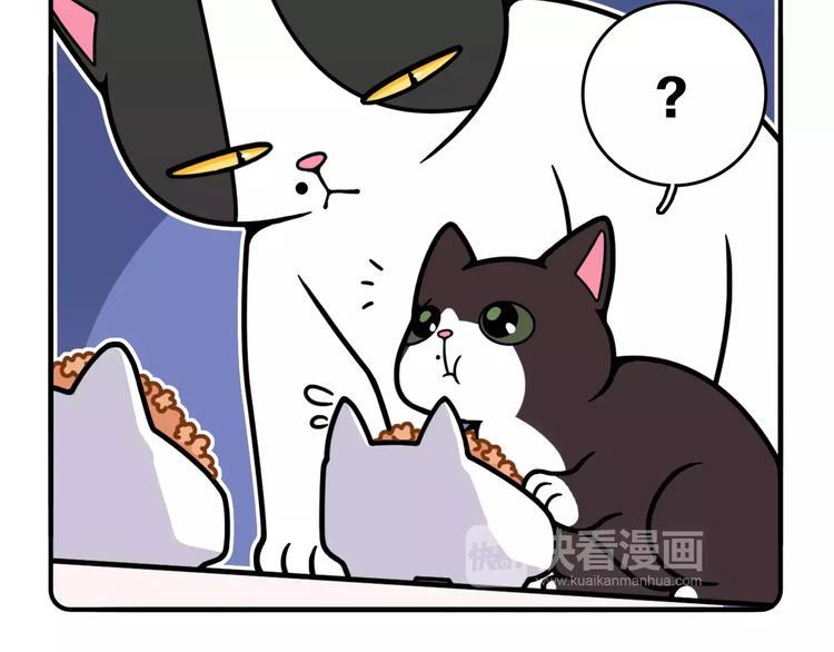 第11话13