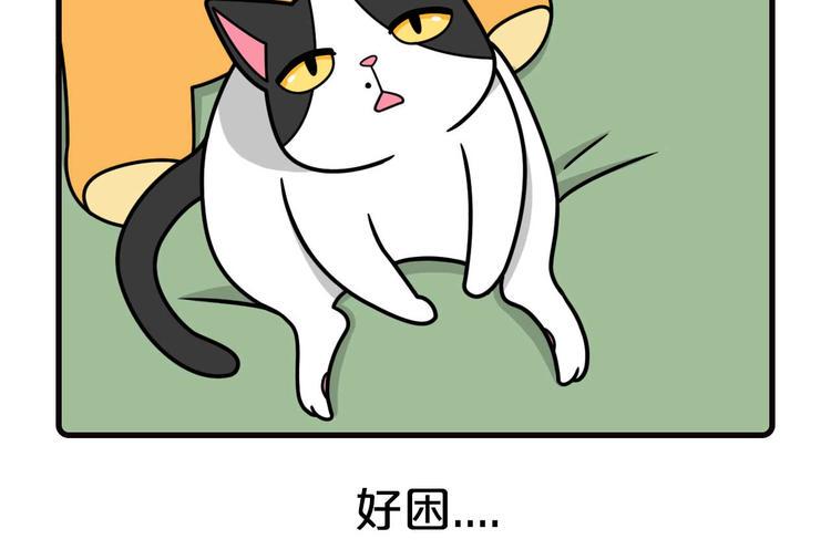 第18话6