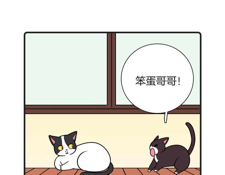 第24话23