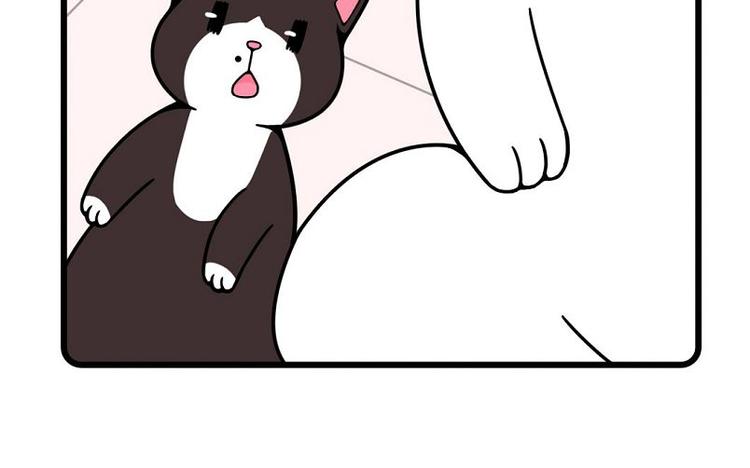 第19话19