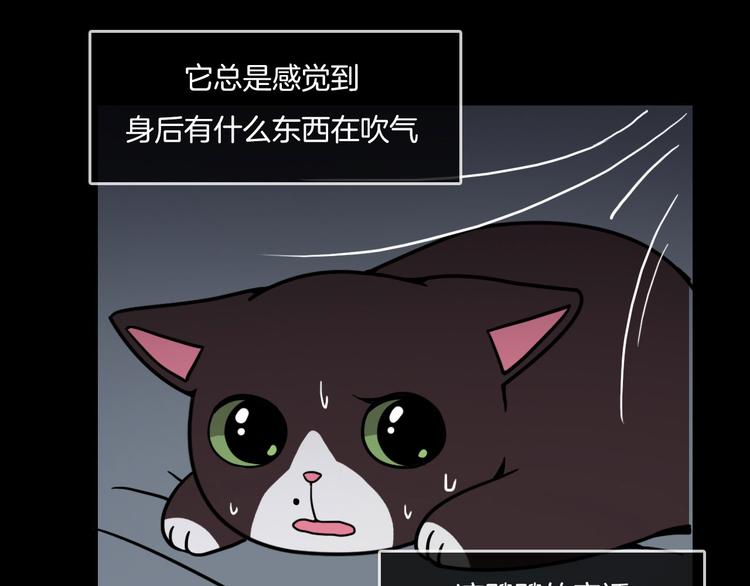 第31话11
