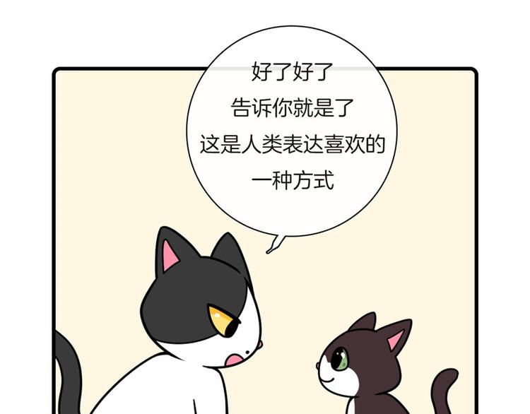 第28话13