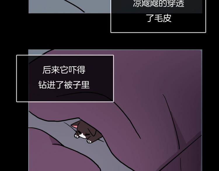 第31话12