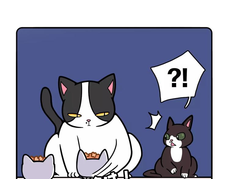 第11话14