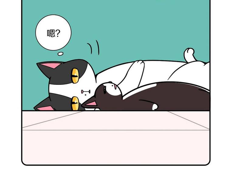 第19话6