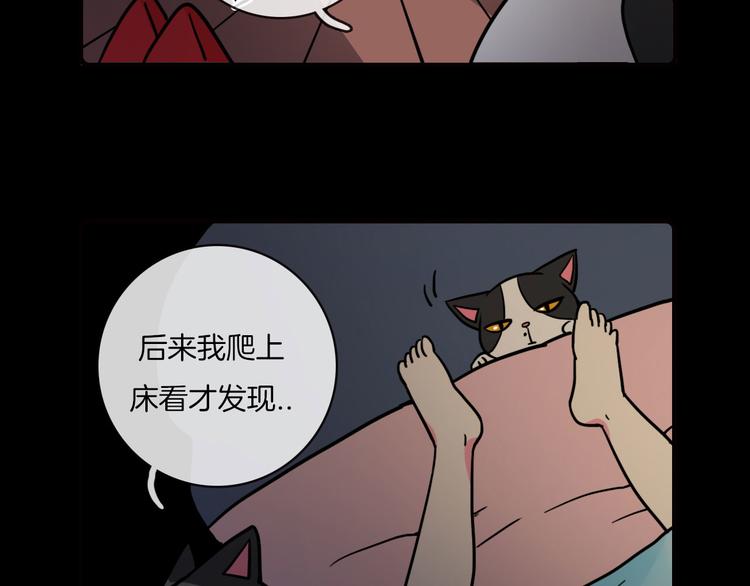 第31话31