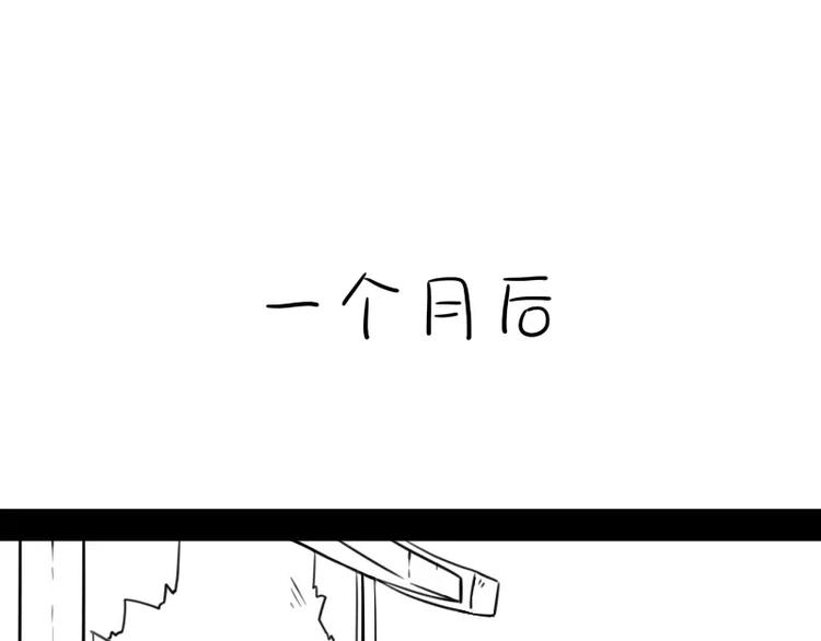 小狐狸12