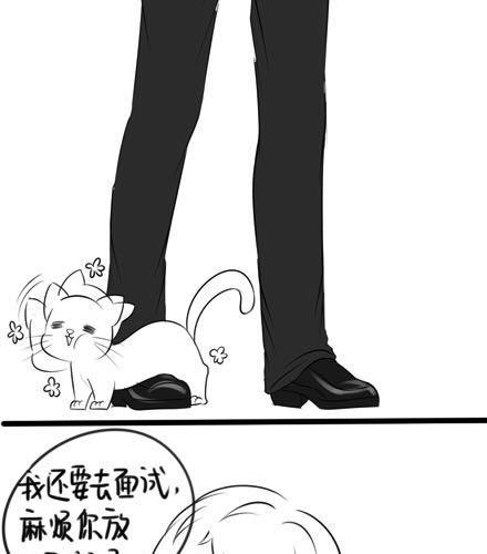 小猫咪，我要上班去啦！4