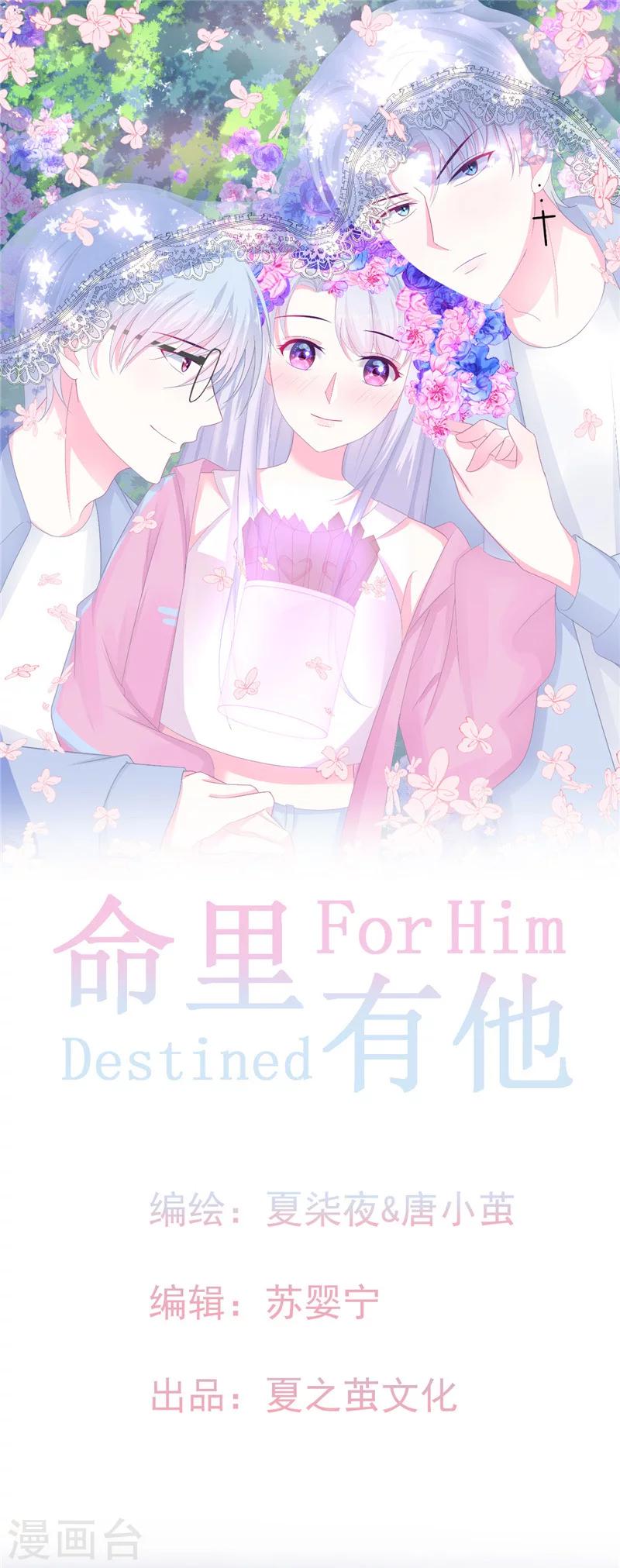 第1话 冤家路窄，变身为猫0