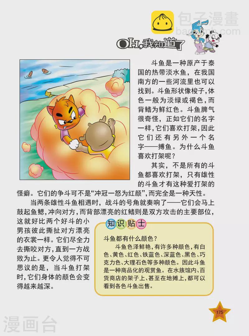 最终话3
