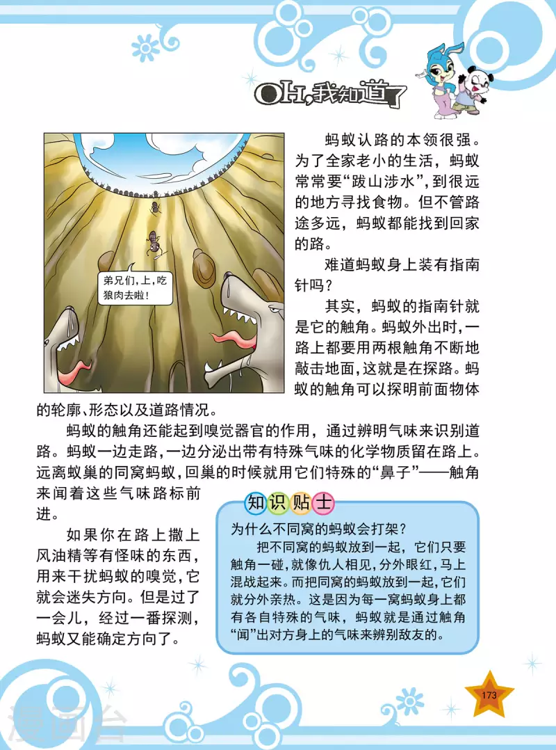 最终话1
