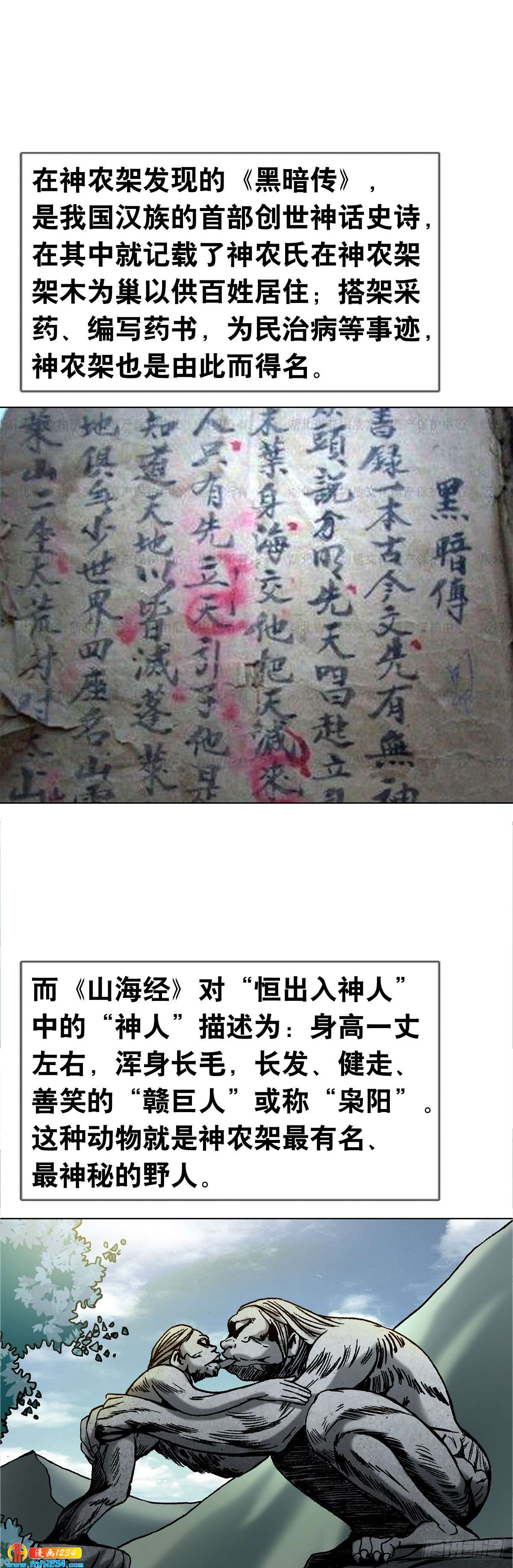 4  神农架野人6