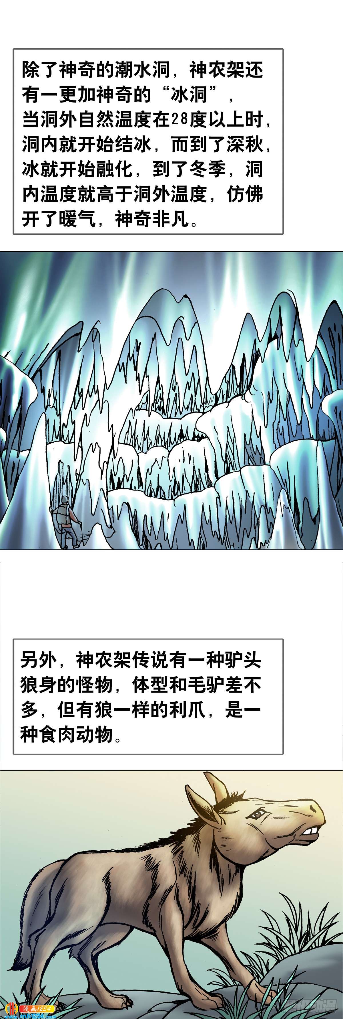 4  神农架野人2
