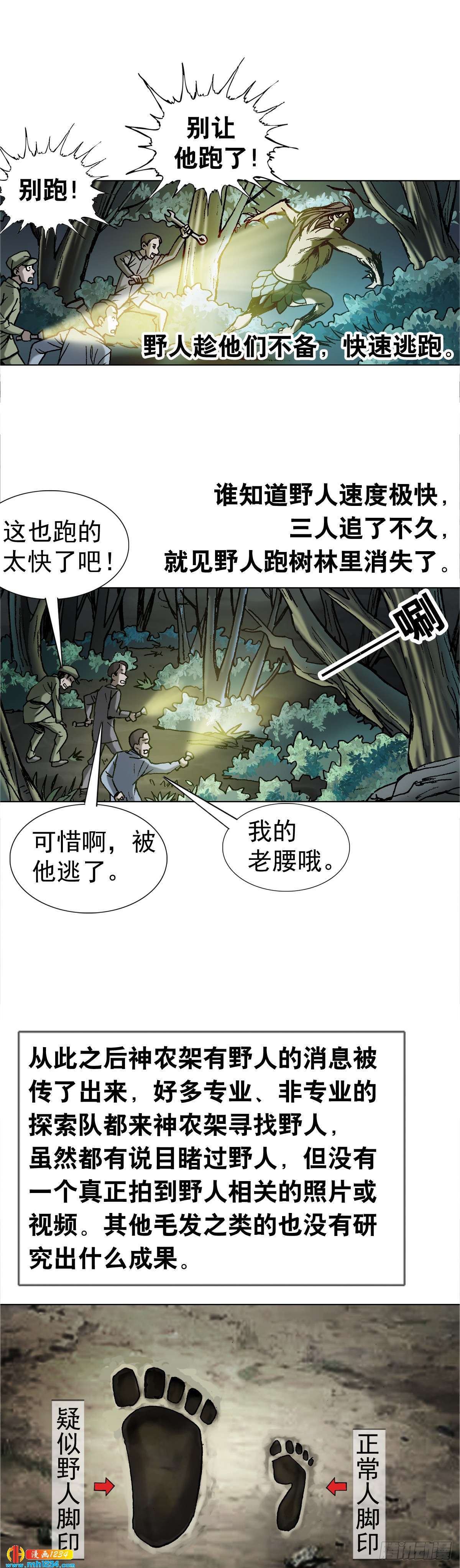 4  神农架野人29