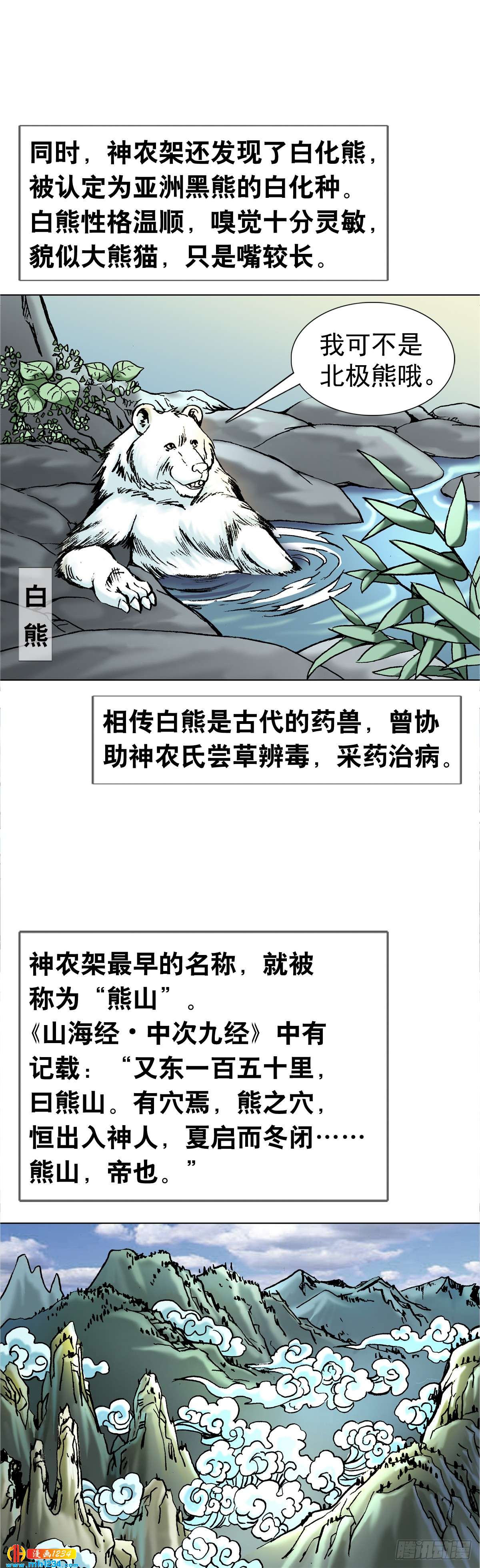 4  神农架野人4