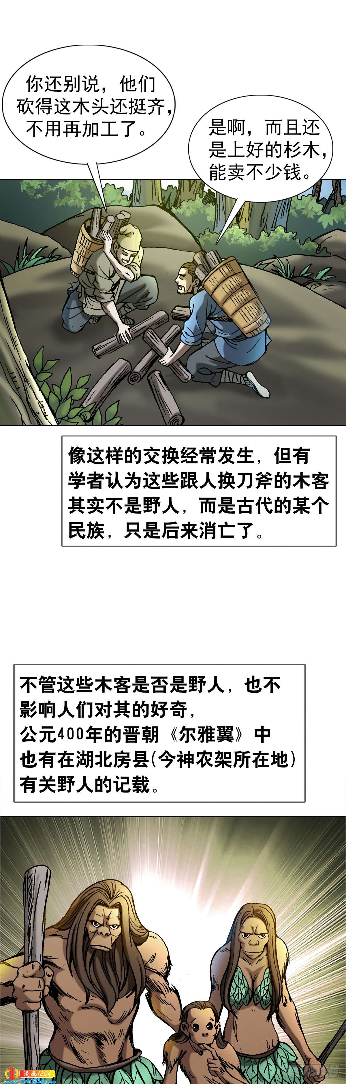 4  神农架野人12