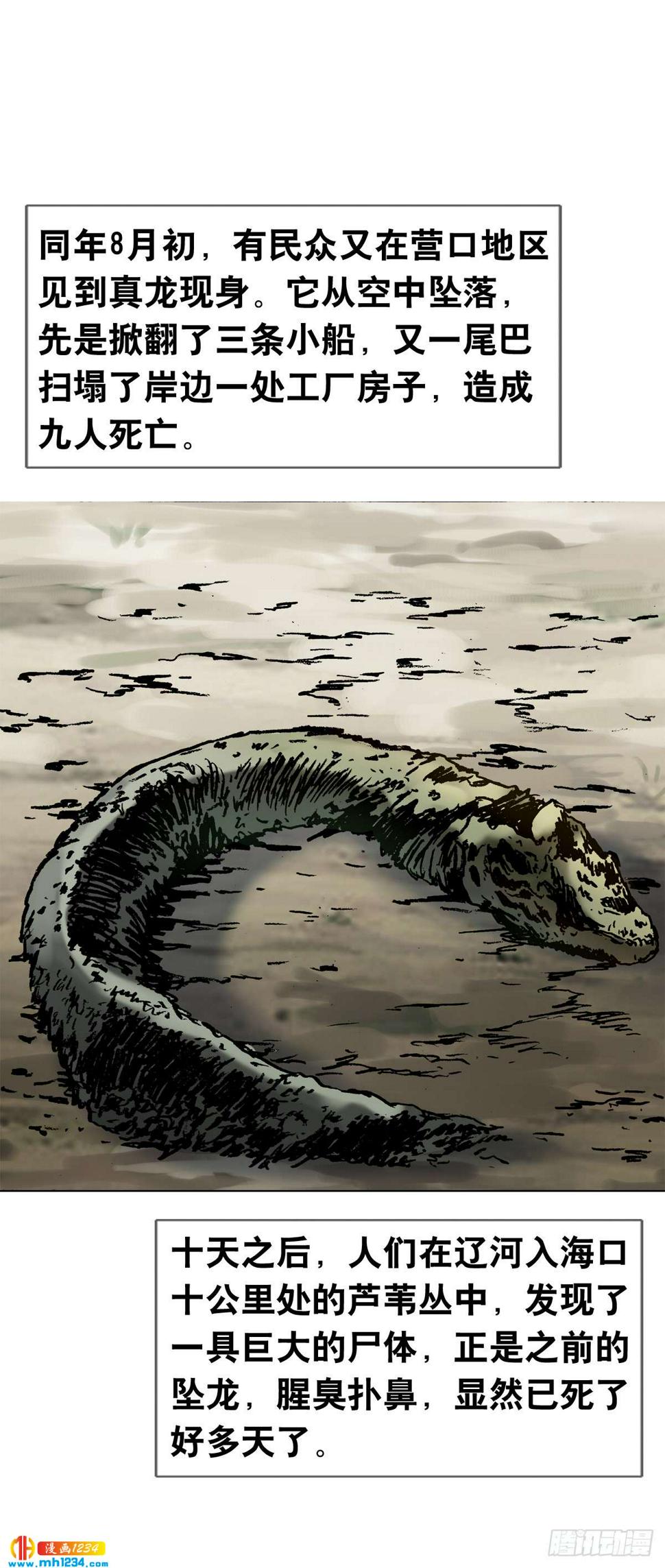 8  古代真的有龙吗？32