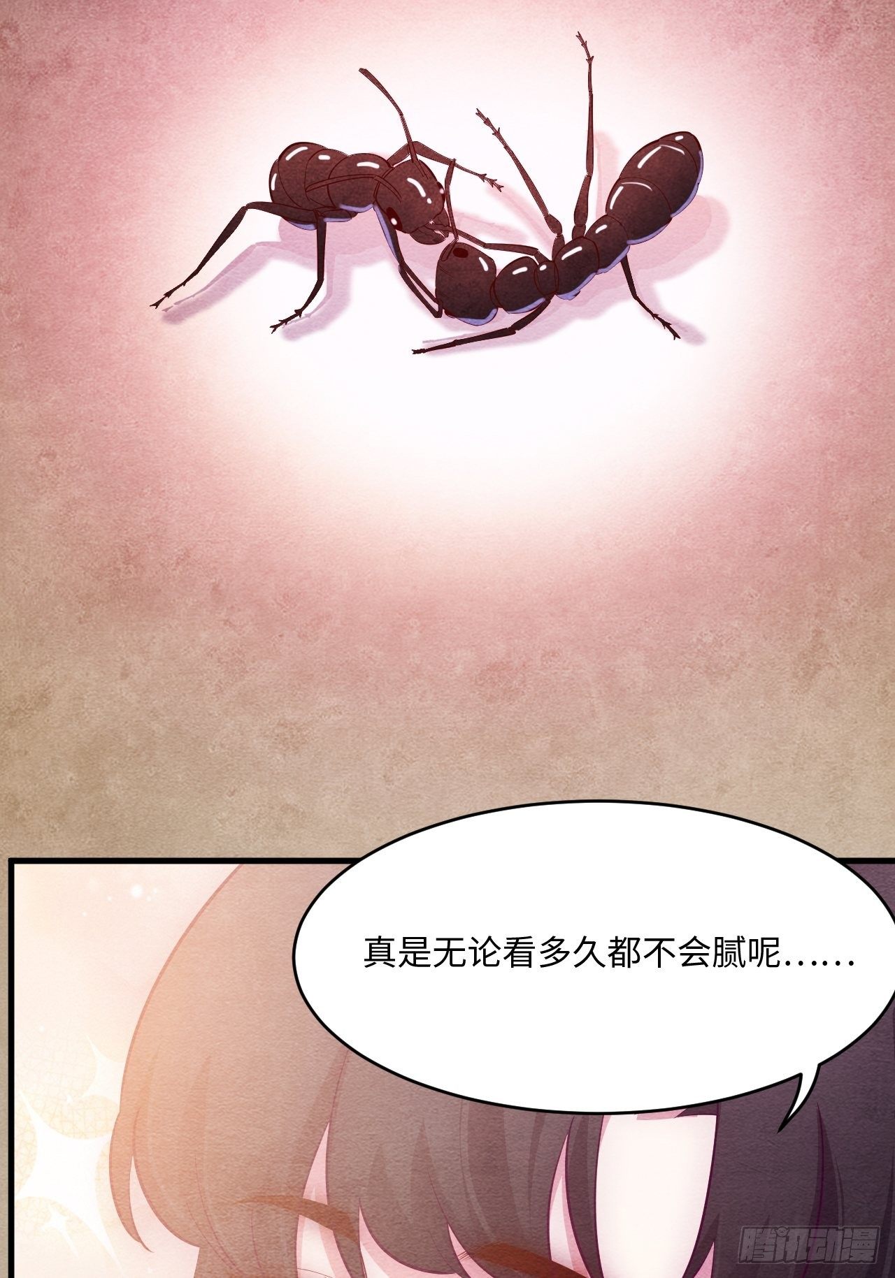 苏轶的饲养-133