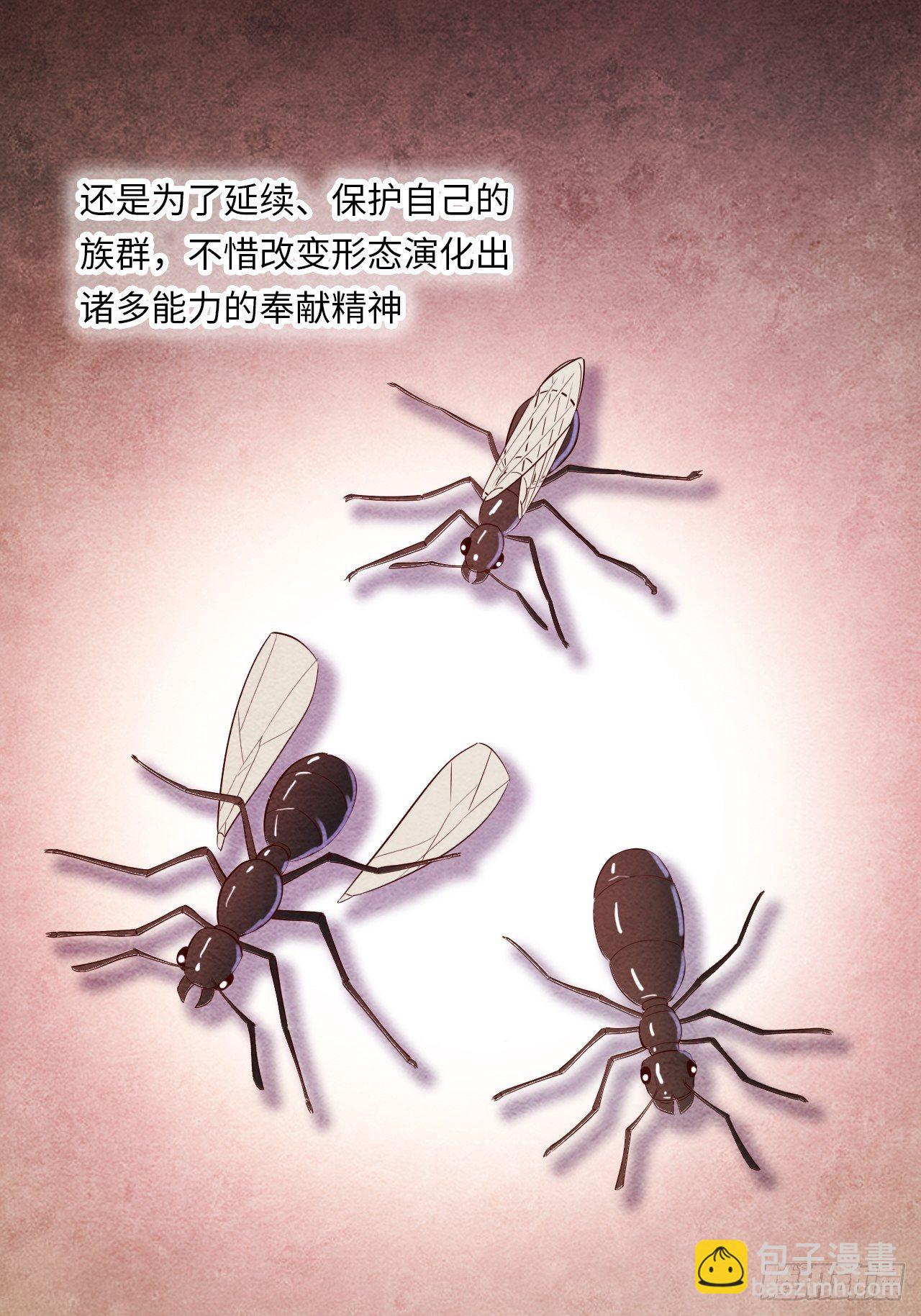 苏轶的饲养-129