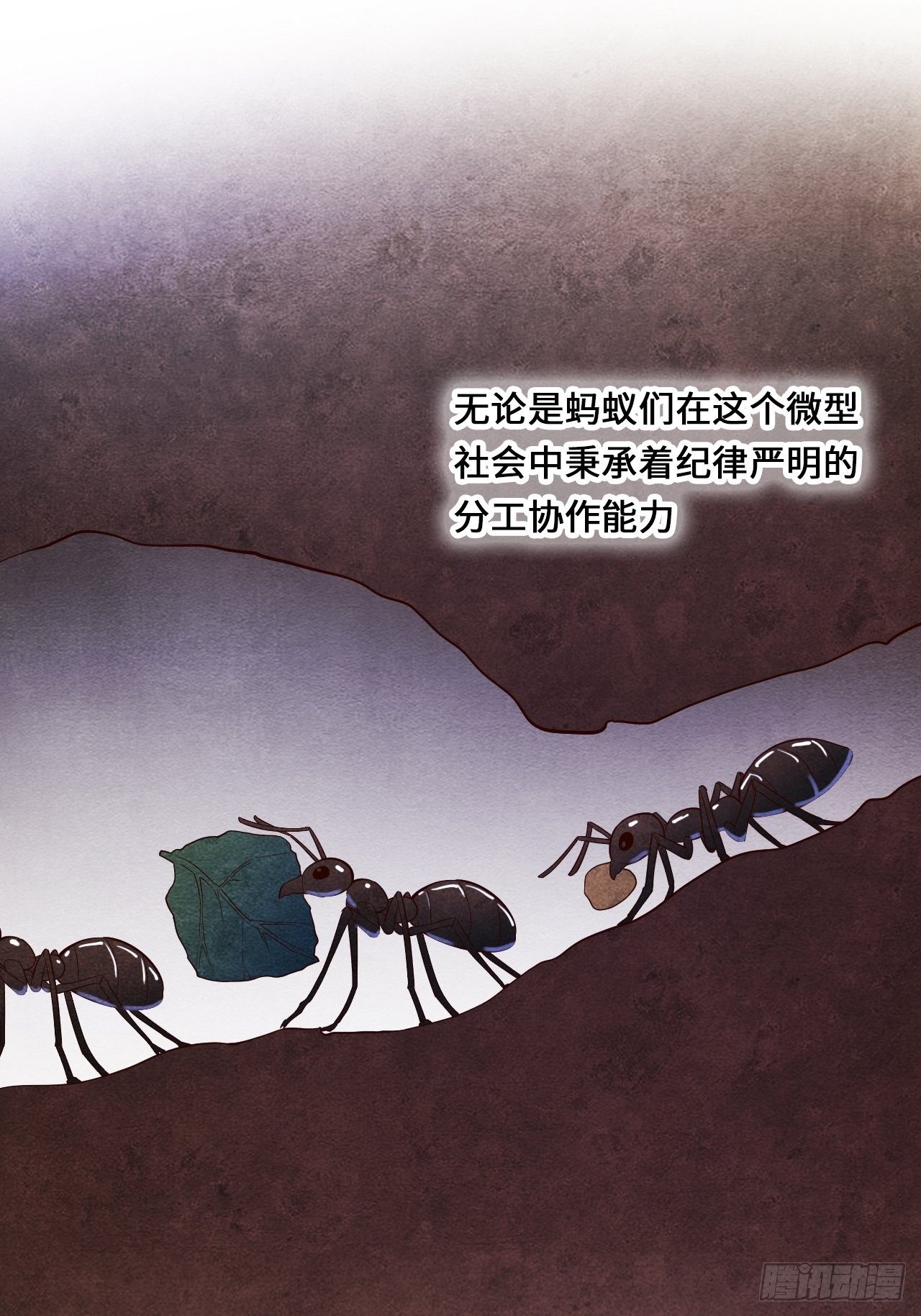 苏轶的饲养-128