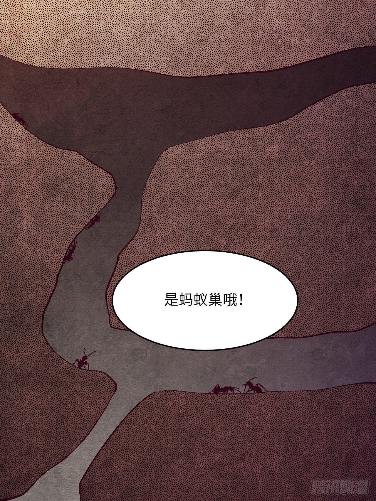 苏轶的饲养-1113