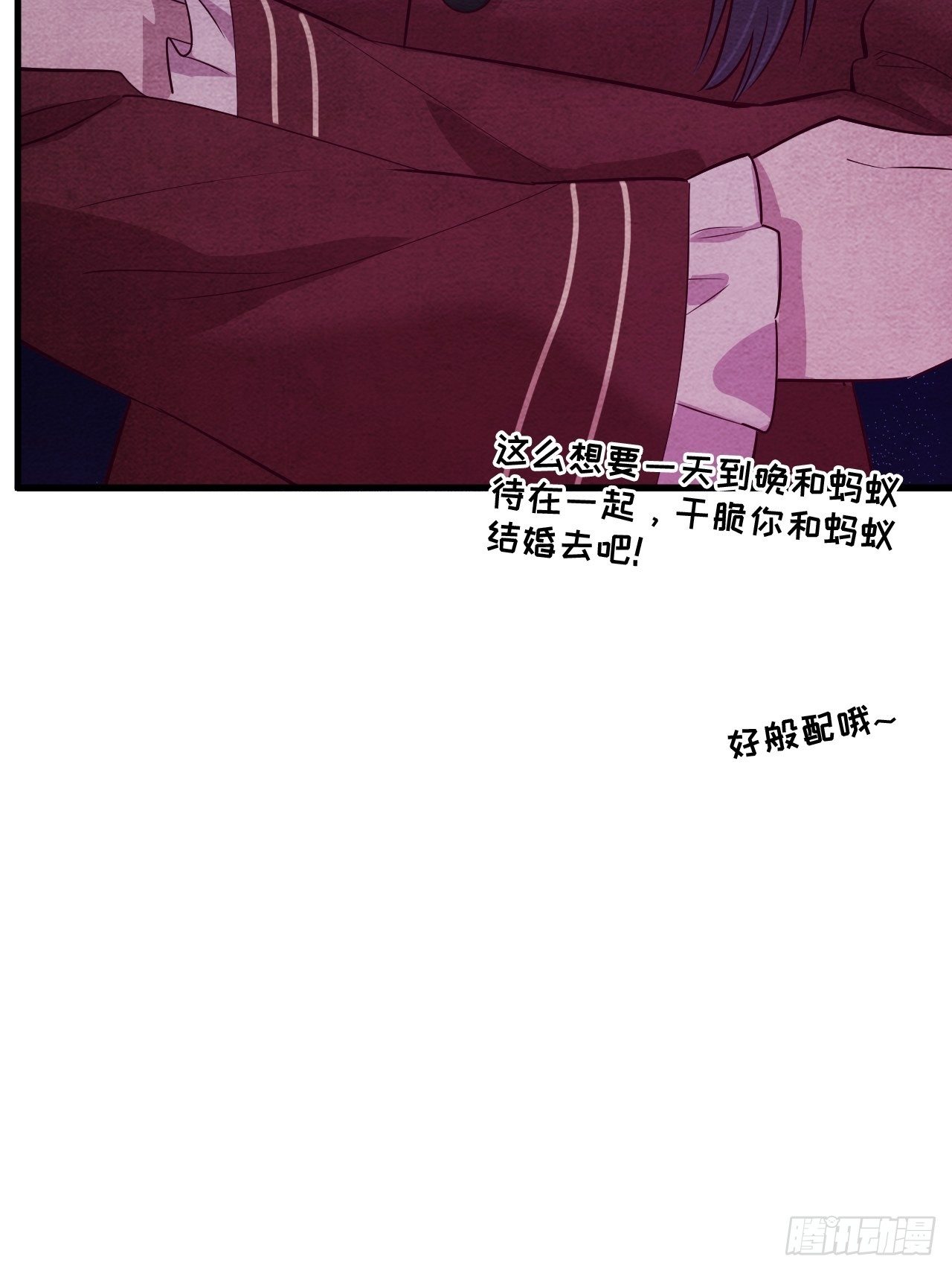 苏轶的饲养-159