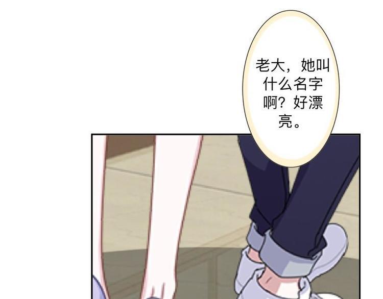 第6话 养你有什么用！4
