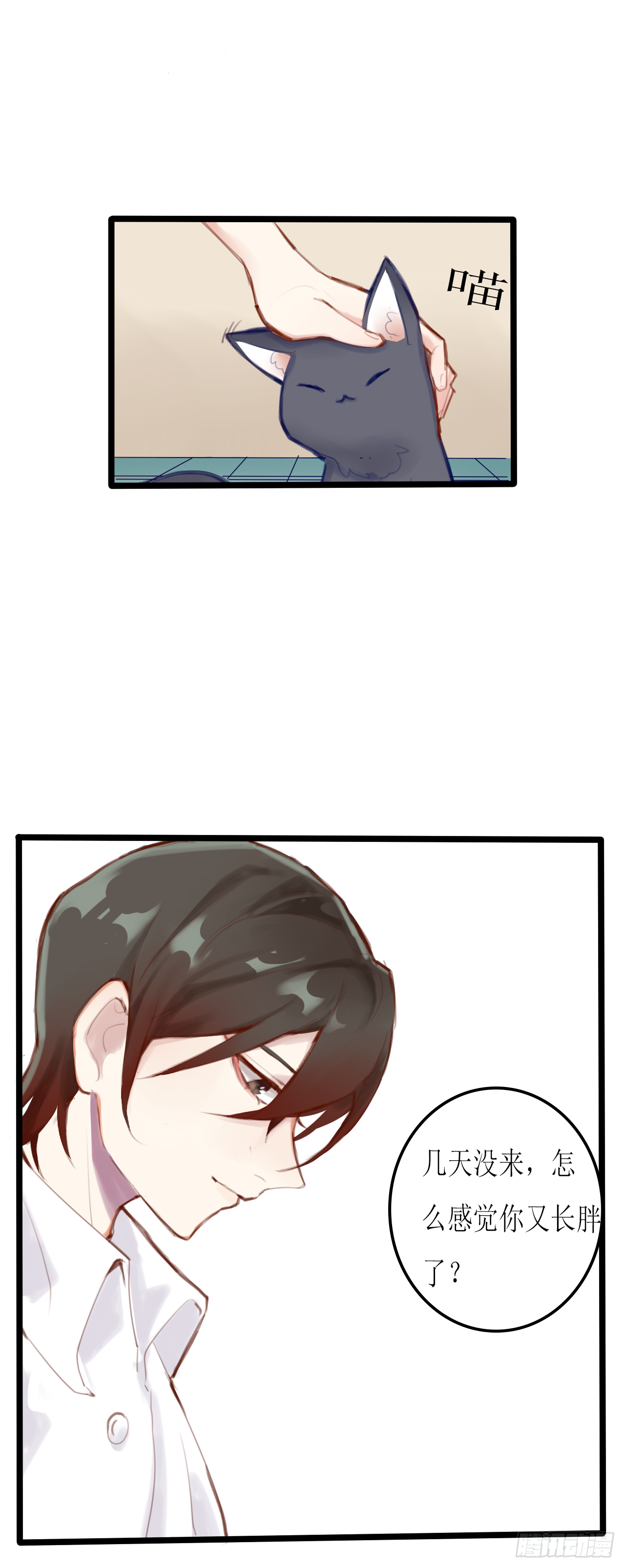 美人蛛19