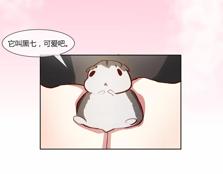 第6话 工作室来了小仓鼠10