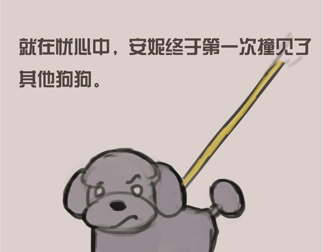 我是大熊，我的柴犬叫安妮45