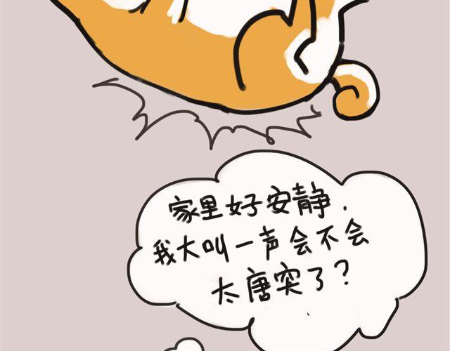 一只沉默的狗16
