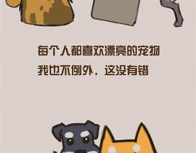真是越来越活泼了呢41