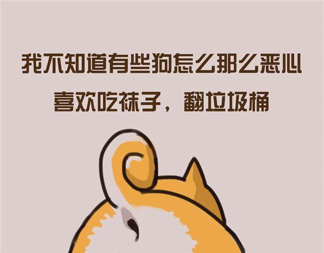 狗狗的喜好真是让人受不了19