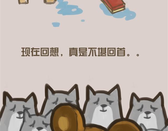 我是大熊，我的柴犬叫安妮33