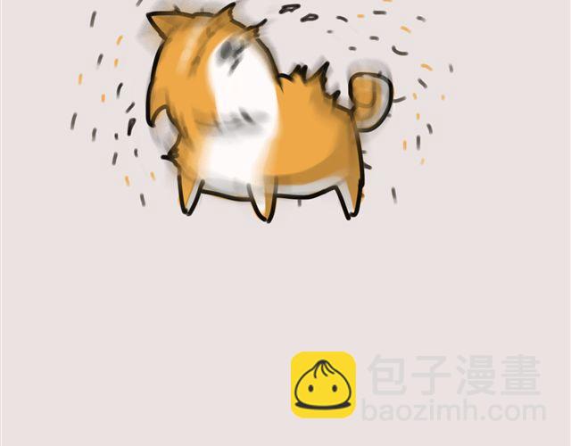 狗狗的喜好真是让人受不了10