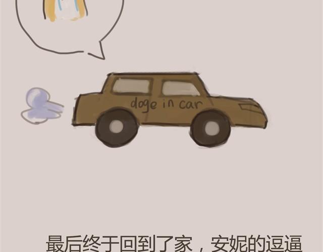 我是大熊，我的柴犬叫安妮23