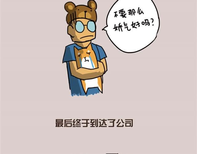 带安妮去公司于是空气凝固了13