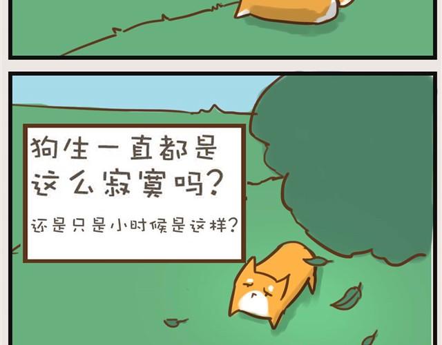 想和大家一起玩36